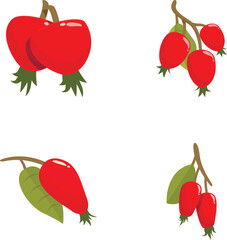 Illustration collection featuring different styles of ripe red rosehips