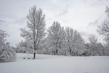 Winter Landscape of South Park in city of Sofia, Bulgaria