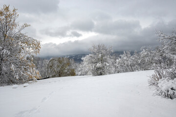 Winter Landscape of South Park in city of Sofia, Bulgaria