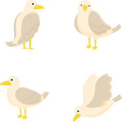 Collection of four cute cartoon seagulls in different poses, isolated on a white background