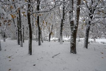 Winter Landscape of South Park in city of Sofia, Bulgaria