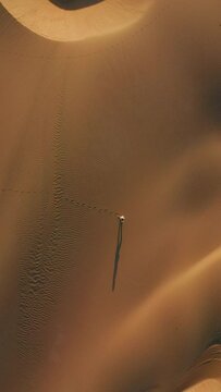 Vertical Screen: In a vast desert, a young girl walks alone, casting long shadows on golden sand dunes. The tranquil aerial view captures her serene journey through the remote and isolated wilderness