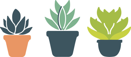 Fototapeta premium Vector Illustration of Potted Succulent Plants - Simplicity and Growth
