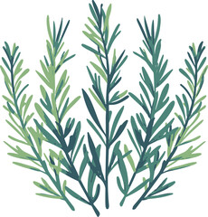 Obraz premium Vector Rosemary Herb Illustration Representing Nature and Growth