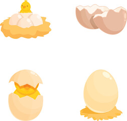 Set of cartoonstyle vector icons depicting various stages of a chicken's life cycle from egg to hatching