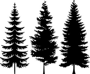 Fototapeta premium Silhouettes of Pine Trees: Nature's Tranquility and Unity in Black and White