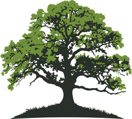 Vector Illustration of a Large Oak Tree, Symbolizing Strength and Growth
