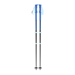Vector illustration of Nordic Walking poles.