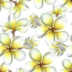 Fototapeta premium Seamless pattern with plumeria and frangipani flowers. A hand-drawn watercolor illustration. For textiles, wallpapers and backgrounds. For packaging paper and labels, printing and decoration.