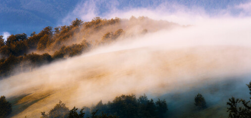 panoramic summer foggy scenery, scenic sunrise morning view in Carpathian mountains, Ukraine, Europe