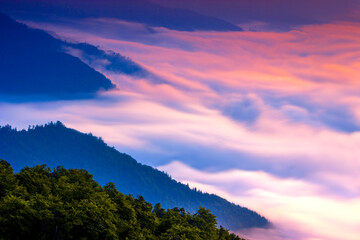 panoramic summer foggy scenery, scenic sunrise morning view in Carpathian mountains, Ukraine, Europe