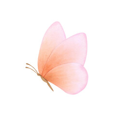 Beautiful butterfly of pink, coral, peach fuzz, orange, delicate colors isolated on a white background. Hand drawn watercolor illustration. For design, cards, invitations, congratulations, packaging