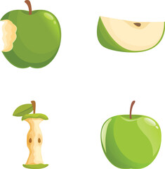 Illustration set featuring a whole green apple, a slice, a bite taken, and a core