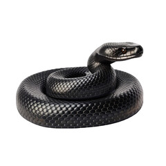 realistic hand drawn snake png