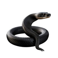 Fototapeta premium realistic hand drawn snake png