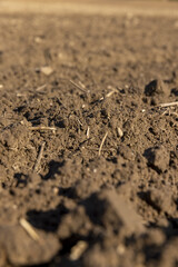 preparing the soil for sowing in spring