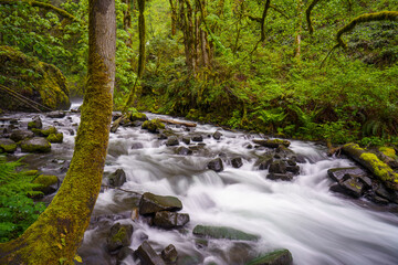Bridal Veil Waterfalls and stream