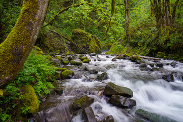 Bridal Veil Waterfalls and stream
