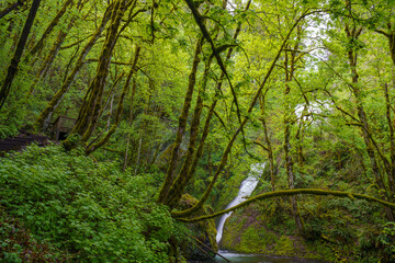 Bridal Veil Waterfalls and stream
