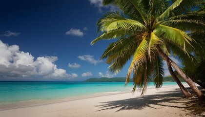 view of nice tropical beach with palm tree holiday and vacation concept