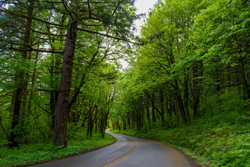 Historic Oregon Highway 30