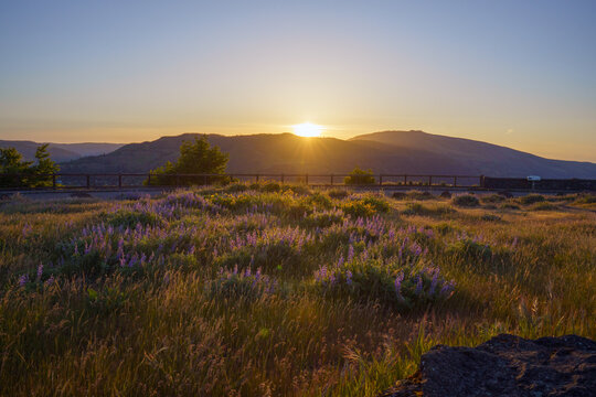 Rowena Crest Sunrise