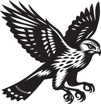 recommend clip art: harrier bird vector illustration