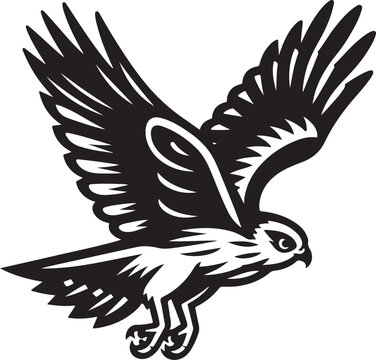 recommend clip art: harrier bird vector illustration