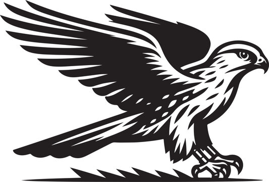 recommend clip art: harrier bird vector illustration