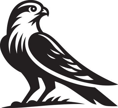recommend clip art: harrier bird vector illustration