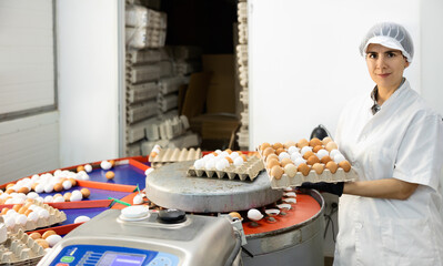 Concentrated latin woman in lab coat and hairnet sorting eggs by size and markings in chicken farm