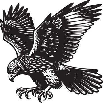 recommend clip art: harrier bird vector illustration