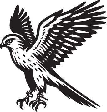 Falcon clip art preview