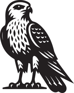 black and white falcon bird portrait clip art preview