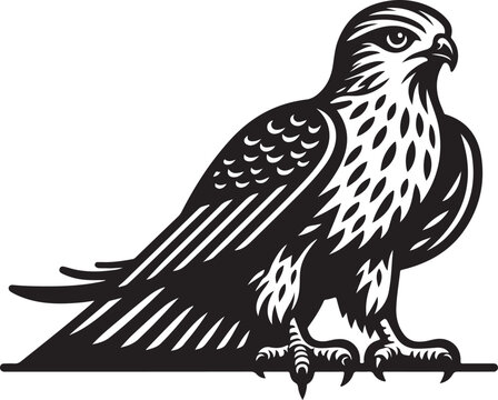 black and white falcon bird sitting clip art preview