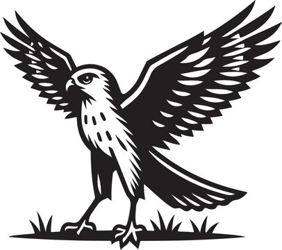 recommend clip art: harrier bird vector illustration