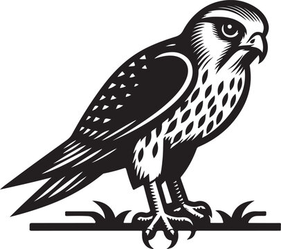 black and white falcon perched on grass clip art preview