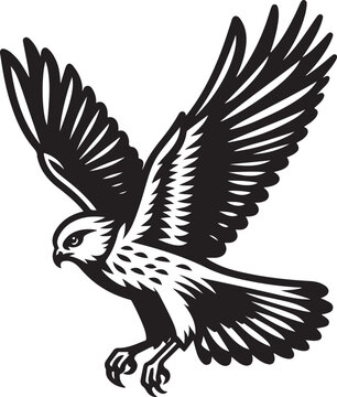recommend clip art: harrier bird vector illustration