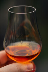 hand holding Glen cairn glass of whiskey against dark background