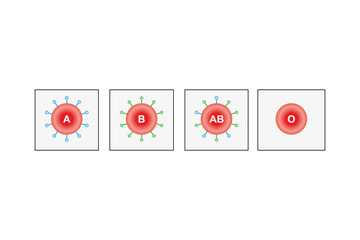 ABO Blood Group System Scientific Design. Vector Illustration.