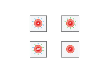 ABO Blood Group System Scientific Design. Vector Illustration.