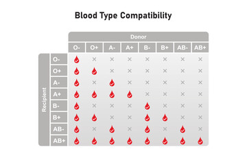 Blood Type Compatibility Scientific Design. Vector Illustration.