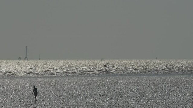 Silhouette of a man walking on mudflats to catch sea animals during low tide at sunset of Bang Pu seaside, gulf of Thailand