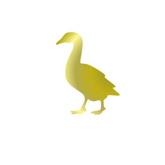Golden duck isolated on transparent background