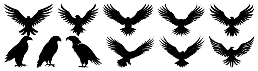 Eagle silhouette set vector design big pack of illustration and icon