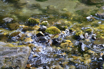 stones in water