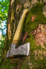 Finnish ax with a tree trunk