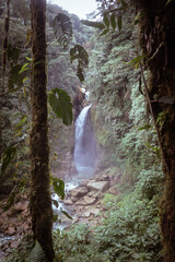 waterfall in the woods