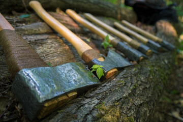 Several metal axes are stuck into a tree in a row.