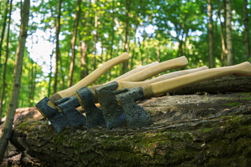 Several metal axes are stuck into a tree in a row.
